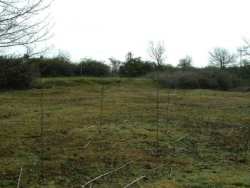 http://www.essex-family-history.co.uk/asheldhamcamp.jpg
