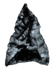 arrowhead- http://commons.wikimedia.org/wiki/File:Arrowhead.jpg