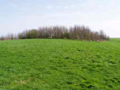 http://www.essex-family-history.co.uk/othona.jpg